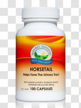 Dietary Supplement Nature's Sunshine Products Herb Blessed Thistle Cascara Buckthorn - Cnicus Benedictus - Aussie Hair Care Commercial Transparent PNG