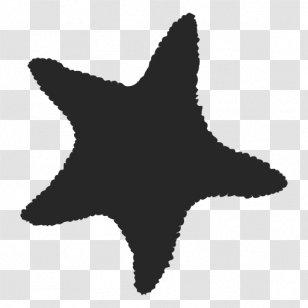 Starfish Silhouette Clip Art - Fish - Sea Star Transparent PNG