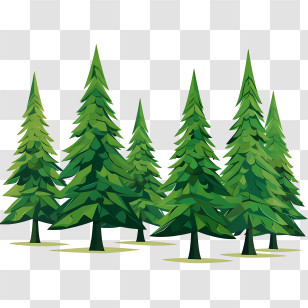Christmas Tree - Illustration Of Green Pine Trees In A Forest Transparent PNG