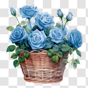 Watercolor Blue Rose
 - Basket Of Blue Roses With Green Leaves Transparent PNG