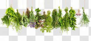 Herbes De Provence Vegetable Health - Olive Oil Transparent PNG