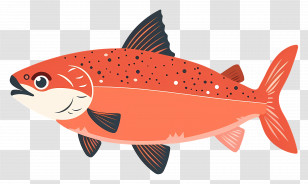 Fish - Colorful Cartoon Salmon Fish Illustration Transparent PNG