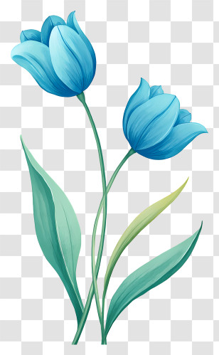 Blue Tulips - Blue Tulip Pair Illustration Transparent PNG