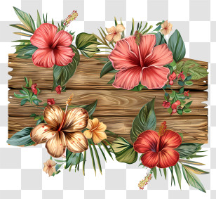 Summer Vacation - Tropical Hibiscus Flowers On Wooden Background Transparent PNG