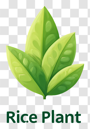 Rice Plant Logo - Green Rice Plant Logo Transparent PNG