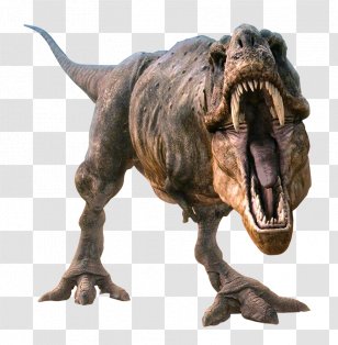 Adocus 3D Computer Graphics - Amphicoelias - Dinosaur Transparent PNG