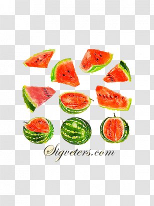 Watercolor Painting Auglis Illustration - Cartoon - Juicy Watermelon Picture Material Transparent PNG