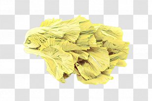 Iceberg Cartoon - Vegetarian Cuisine - Plant Ingredient Transparent PNG