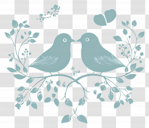 Wedding Birds - Romantic Bird Couple Illustration Transparent PNG