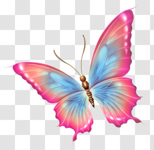 Butterfly - Pink And Blue Butterfly Illustration Transparent PNG