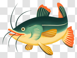 Catfish - Green Catfish Illustration Transparent PNG