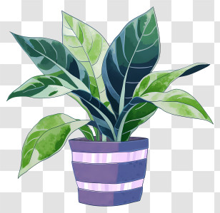 Plant Painting - Potted Plant Decorative Illustration Transparent PNG