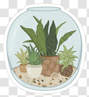 Cartoon - Glass Terrarium With Assorted Green Plants Transparent PNG