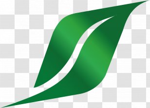 Line Angle Green Transparent PNG
