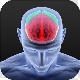 Human Brain Neuroscience Neuron Neuroscientist - Cartoon Transparent PNG