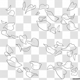 Drawing Illustration Sketch Flower Watercolor Painting - White - Brushstroke Transparent Background Transparent PNG