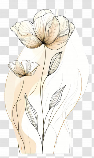 Gold Floral Line - Floral Line Art Illustration Transparent PNG