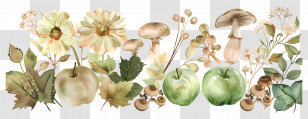 Autumn Background - Green Apples And Mushrooms Botanical Illustration Transparent PNG
