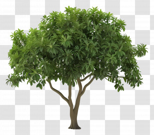 Animated Tree - Lush Green Leafy Tree Illustration Transparent PNG