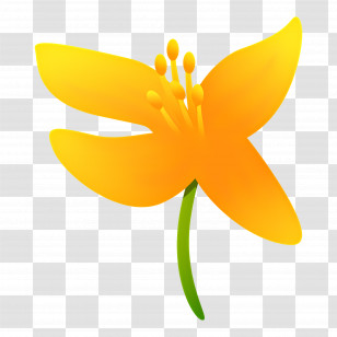 Yellow Flower - Yellow Lily With Green Stem Transparent PNG
