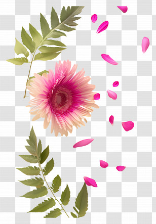 Floral Background - Delicate Pink Flower With Falling Petals And Green Leaves Transparent PNG
