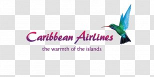 Piarco International Airport Cheddi Jagan Caribbean Airlines Limited Flight - Beat Advertising Transparent PNG