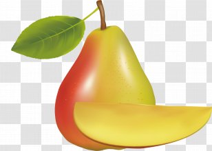 European Pear Asian Pyrus Nivalis Fruit - Material Of Huang Transparent PNG