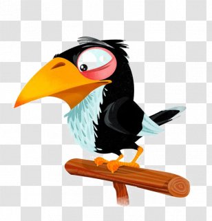 Parrot Model Sheet Drawing Illustration - Illustrator Transparent PNG