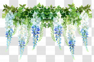 Hanging Flowers - Beautiful Hanging Wisteria Flowers And Foliage Transparent PNG