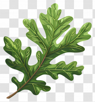 Oak Leaf - Green Leaf Illustration Transparent PNG