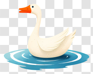 Goose Floating On Water - Elegant White Swan Transparent PNG