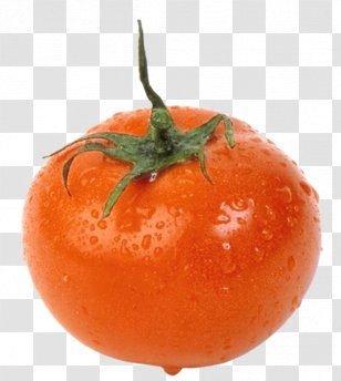 Plum Tomato Bush Food Vegetable - Nightshade Family Transparent PNG