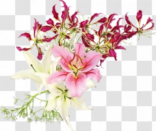 Floral Design Cut Flowers Flower Bouquet Publication - Photography - Lily Transparent PNG