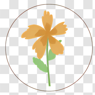 Orange Flower - Yellow Flower Illustration Transparent PNG