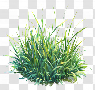 Green Grass - Green Grassy Plant Cluster Illustration Transparent PNG