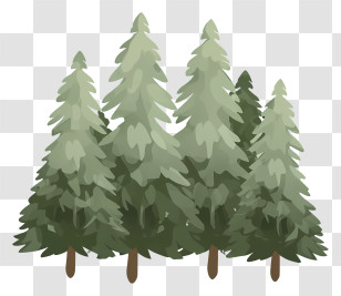 Trees - Illustration Of A Pine Tree Forest Transparent PNG