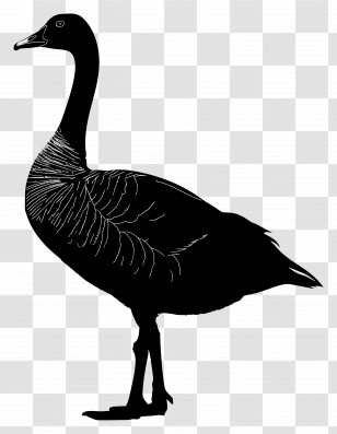 Goose Silhouette - Goose Silhouette Illustration Transparent PNG