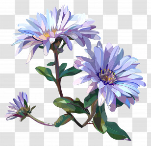 Digital Flower - Purple Aster Flower Bunch Illustration Transparent PNG