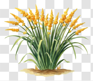 Cartoon - Yellow Flowers In Garden Transparent PNG