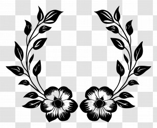 Flower Frame - Symmetrical Black Floral Design Transparent PNG