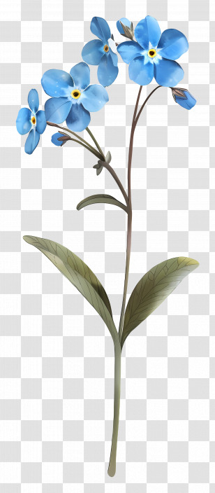 Blue Flowers - Blue Flowers Plant Transparent PNG