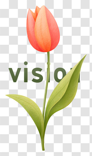 Vision Logo - Single Pink-Orange Tulip Transparent PNG
