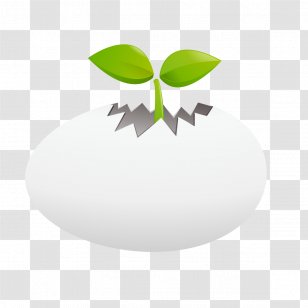 White Microchloa Indica Green Illustration - Chicken Egg - Eggs And Grass Transparent PNG