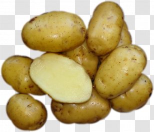 Russet Burbank Potato Fingerling Yukon Gold Bintje Tuber Transparent PNG