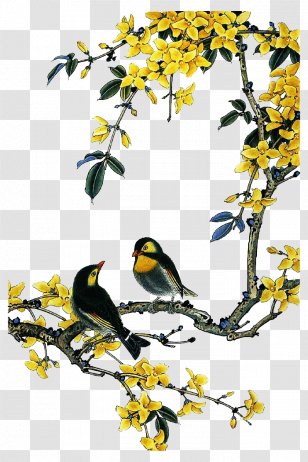 Bird-and-flower Painting Chinese - Beak - Flowers And Birds Transparent PNG