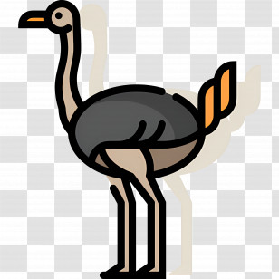 Ostrich - Cartoon Ostrich With Orange Tail Feathers Transparent PNG