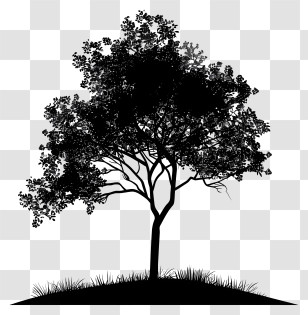 Tree Silhouette - Tree Silhouette With Grass Transparent PNG