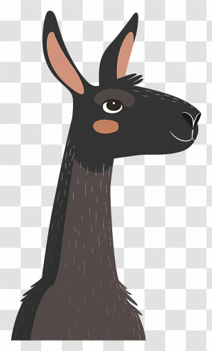 Cartoon Llama - Cartoon Llama Illustration Transparent PNG