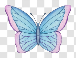 Butterfly - Blue Butterfly Illustration Transparent PNG