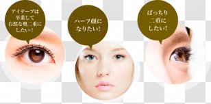 Eyelash Extensions Eyebrow Hair Coloring Toner Forehead - Fulvic Acid - Eyelid Transparent PNG